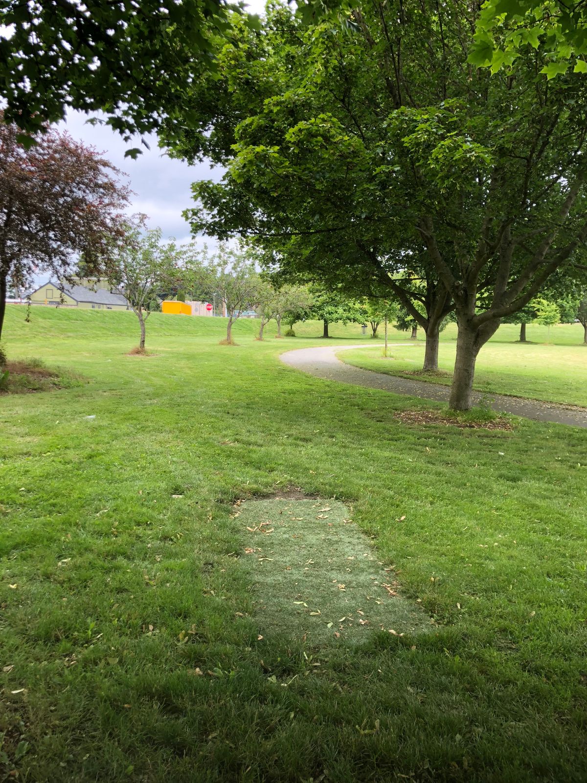 Hole 1