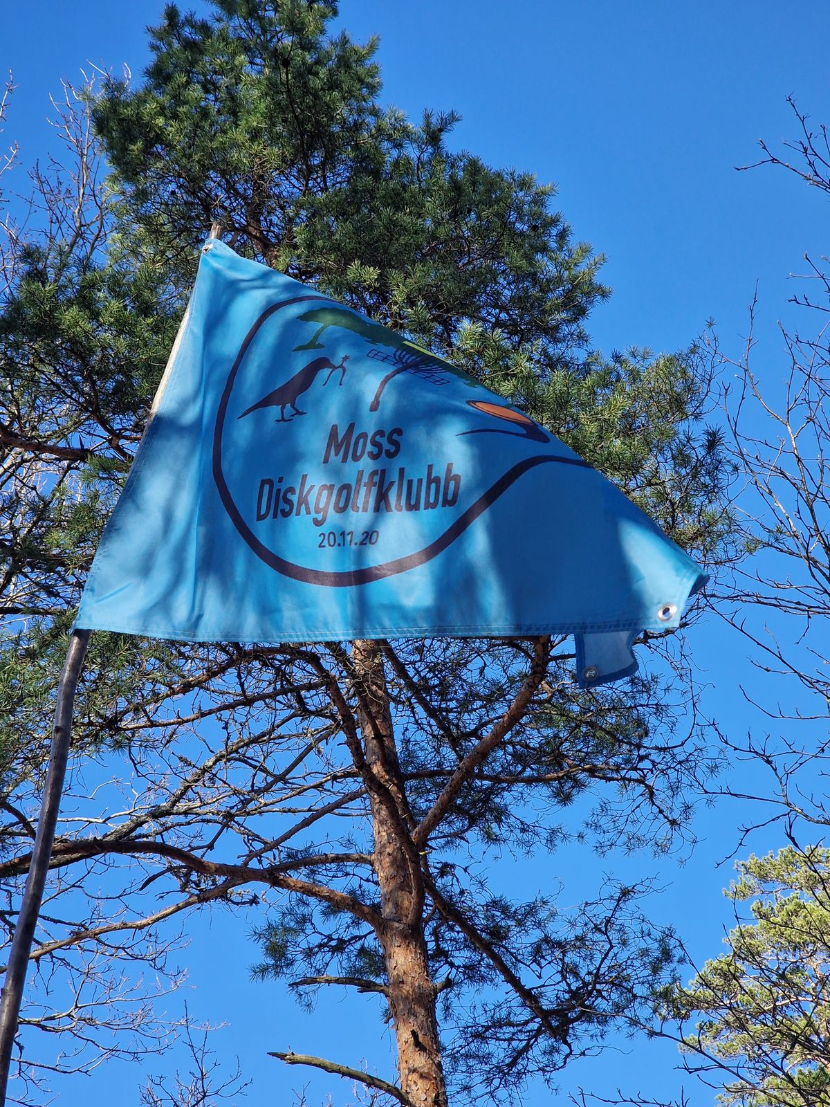 Basket on hole 18