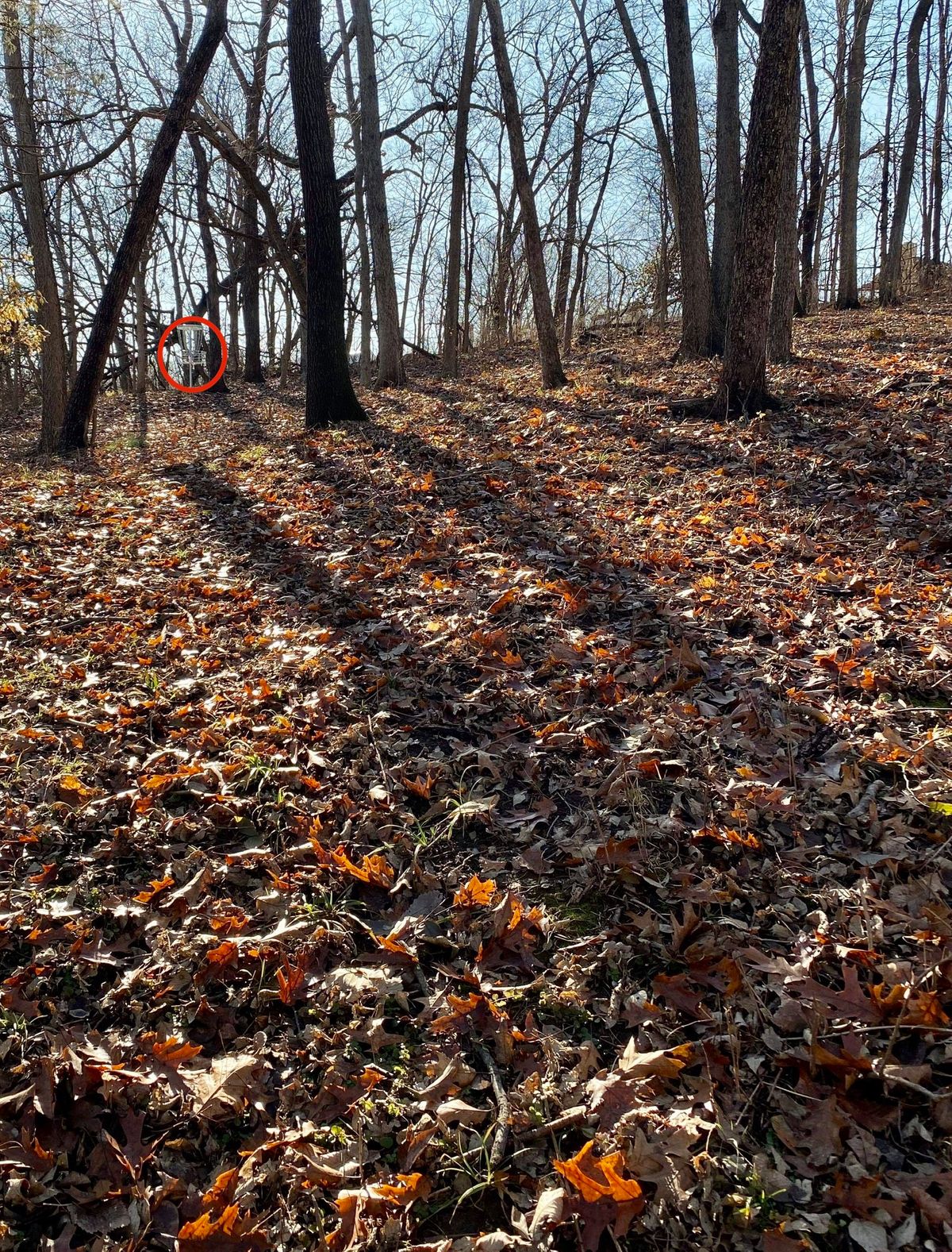 Hole 7 Approach