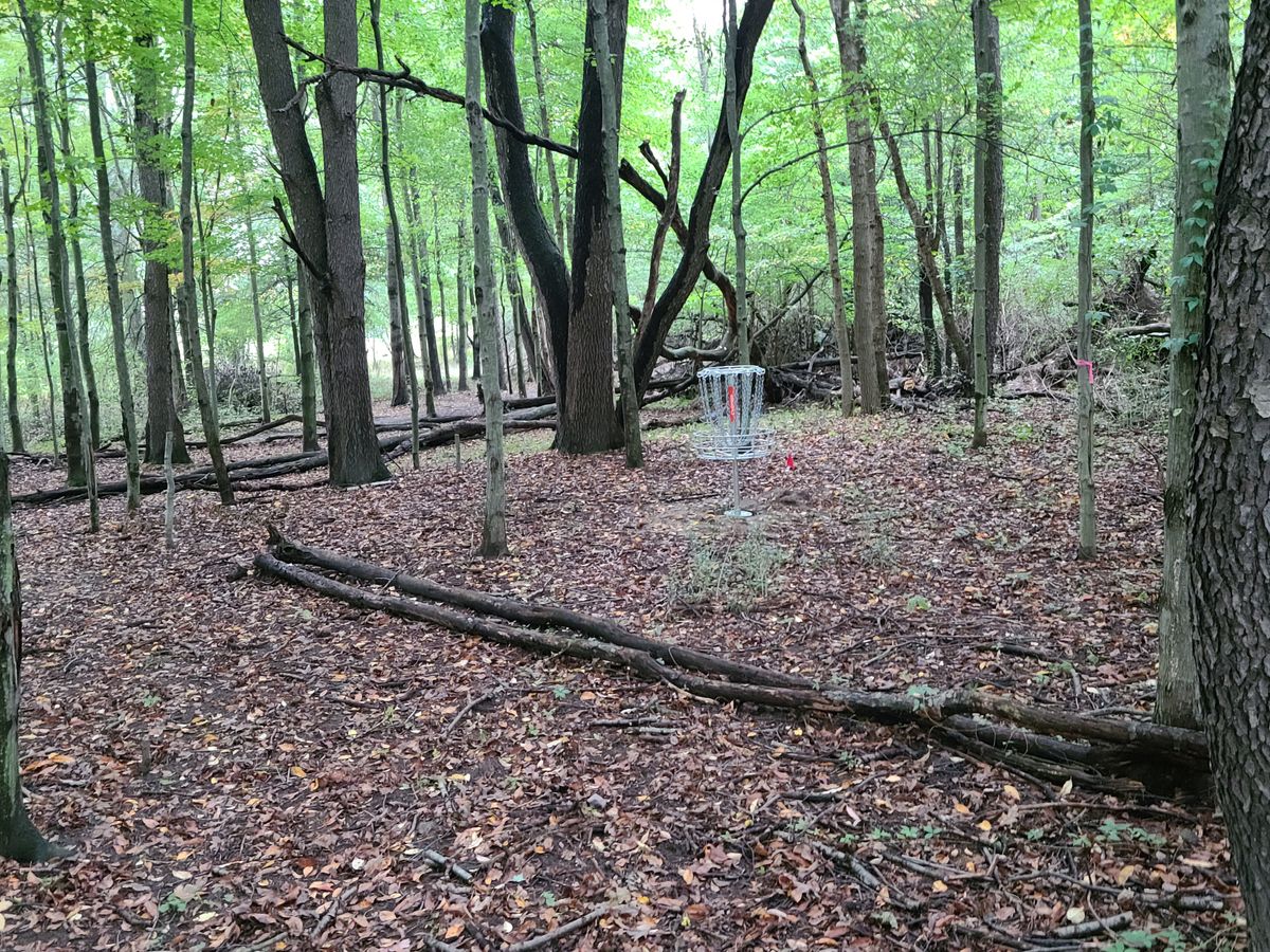 #4 looking back toward tee