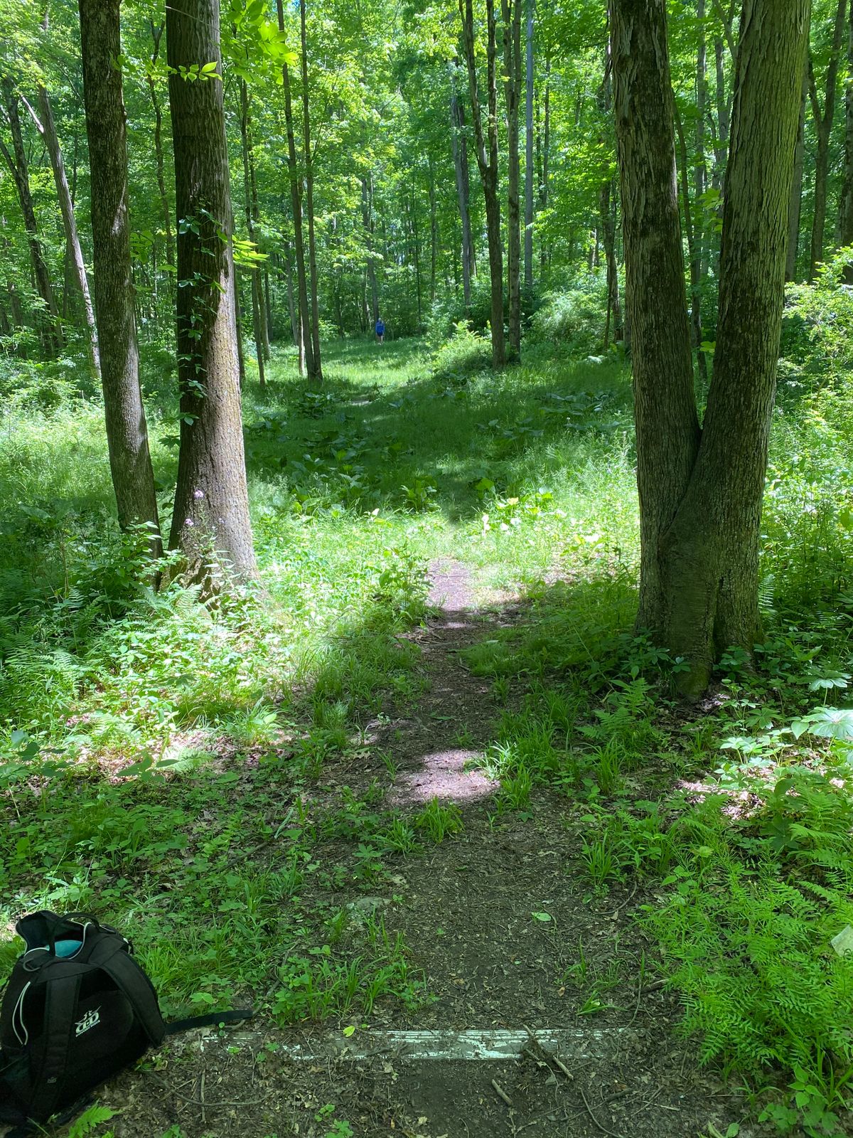 Hole 6 tee shot