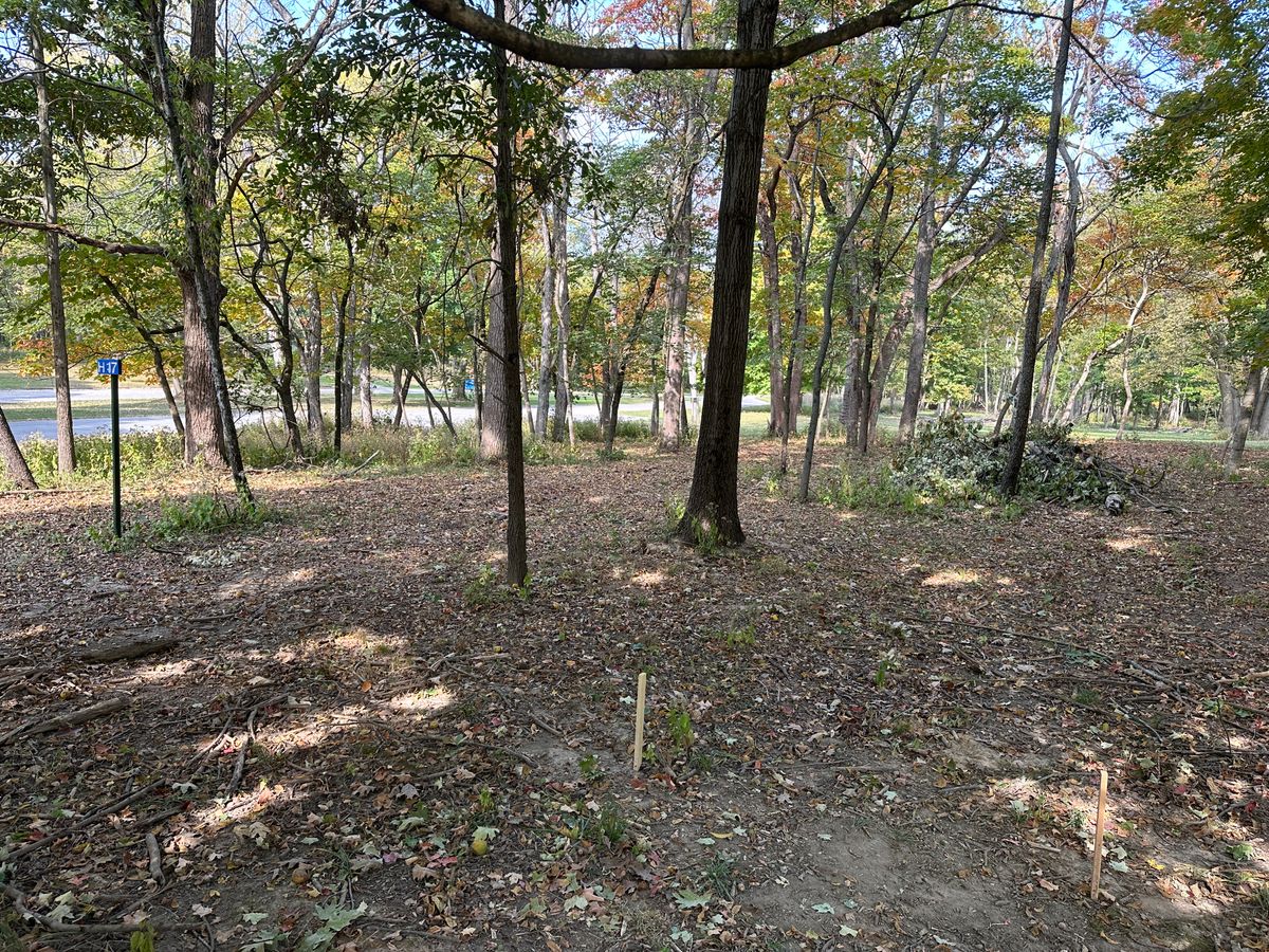 Hole 17 Tee