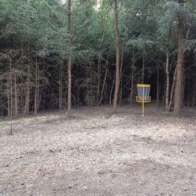 Course photo
