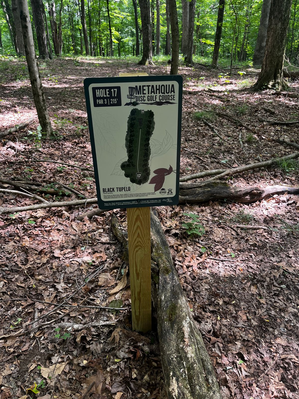 Hole 17 tee sign