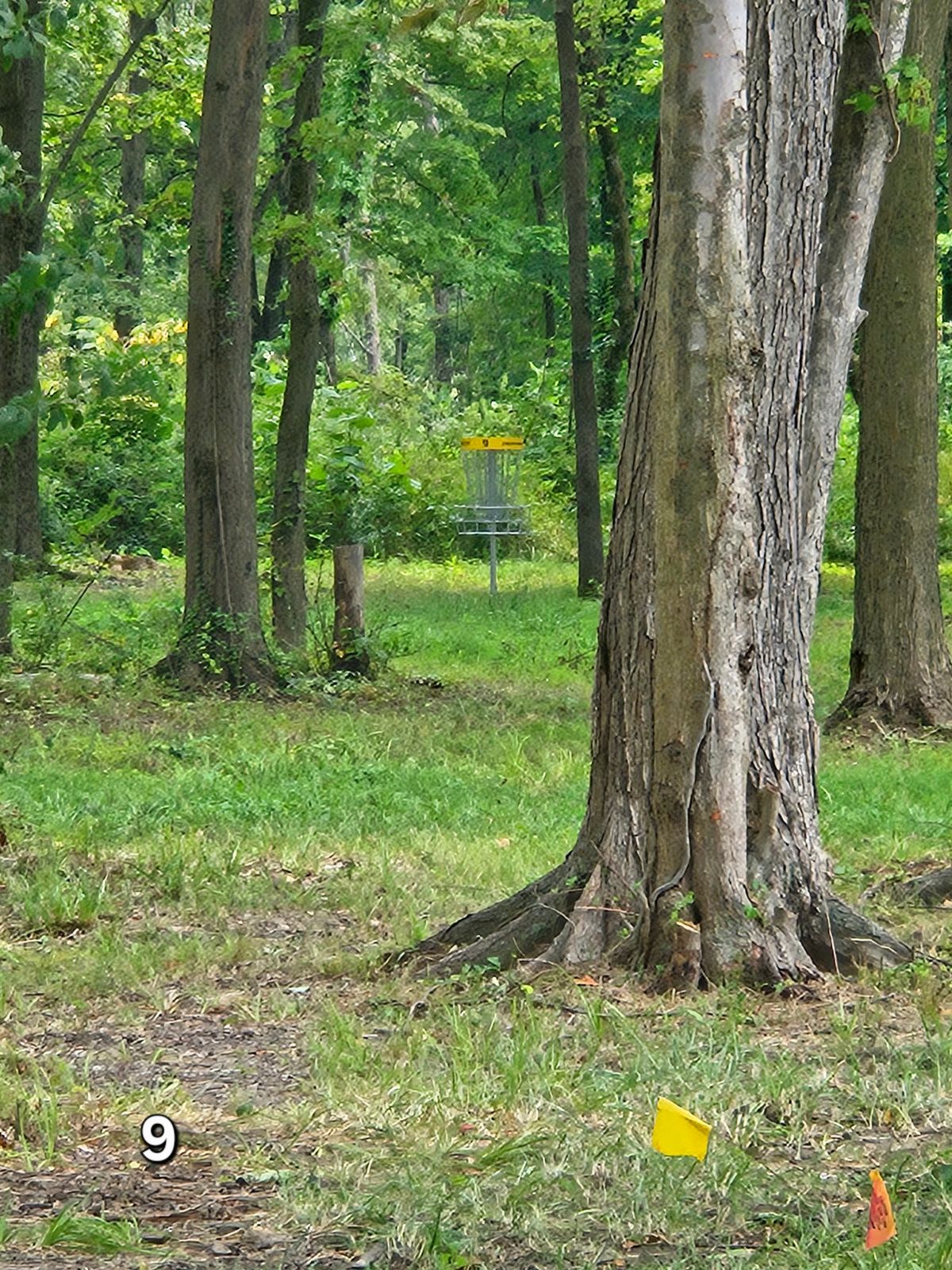 Hole 9