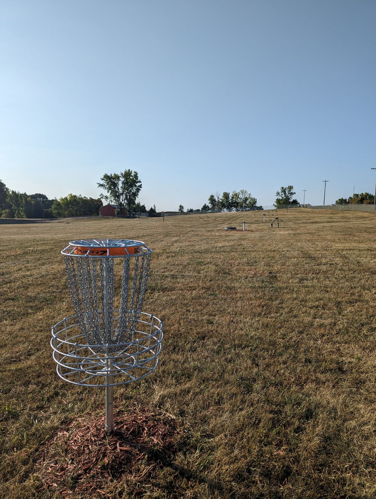 Short Basket looking back at fairway 