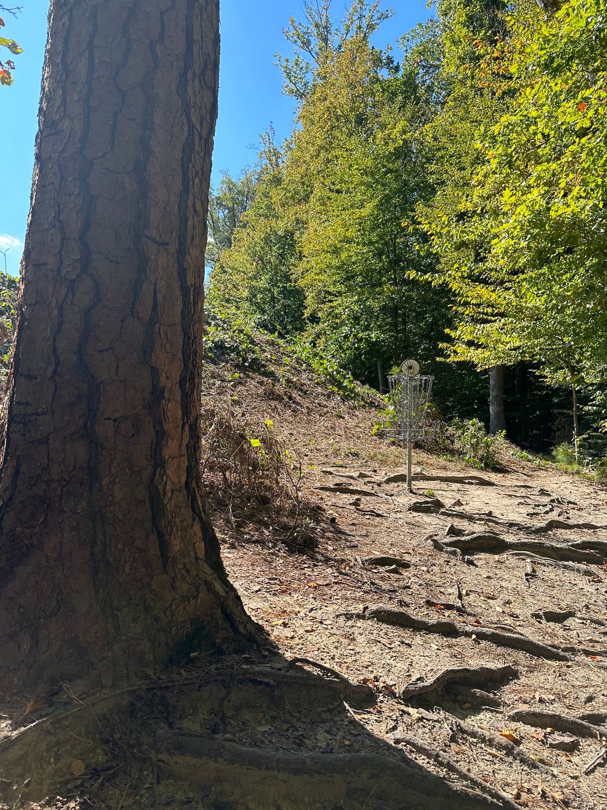 Hole #14 basket
