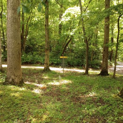Hole 8 green
