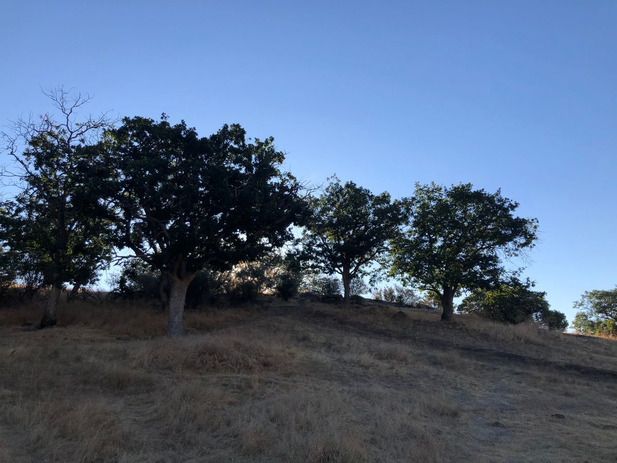 Approach to hole 7