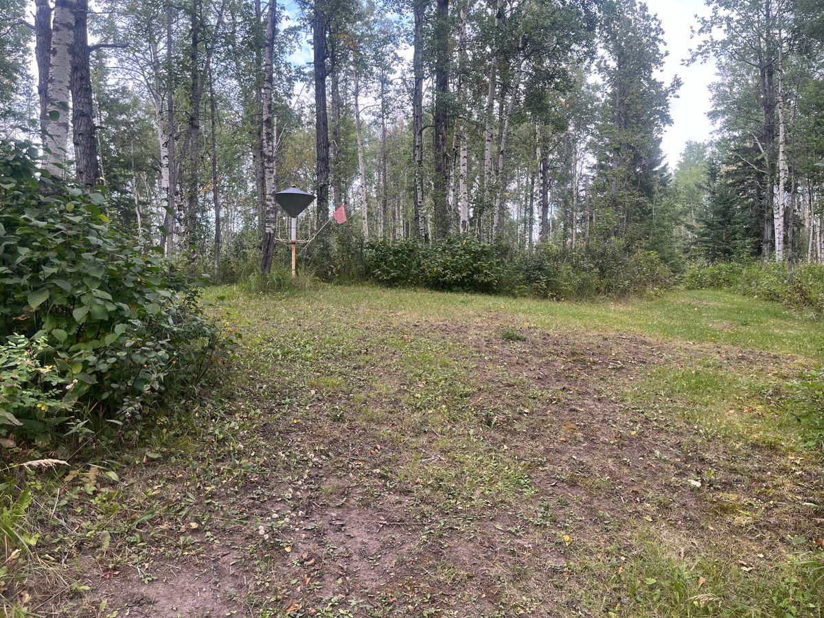 7th Basket