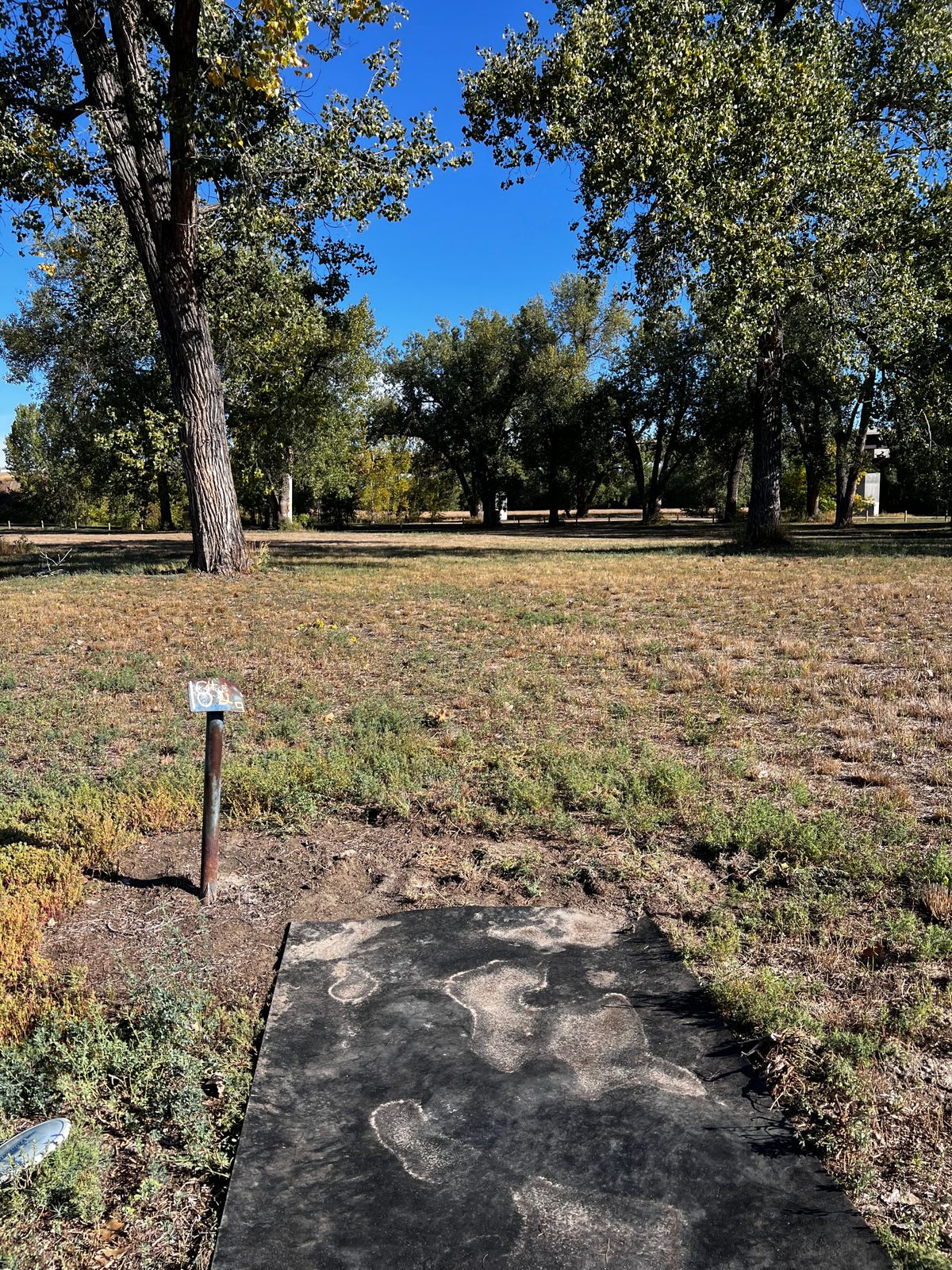 Tee 18