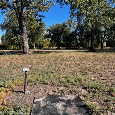 Tee 18
