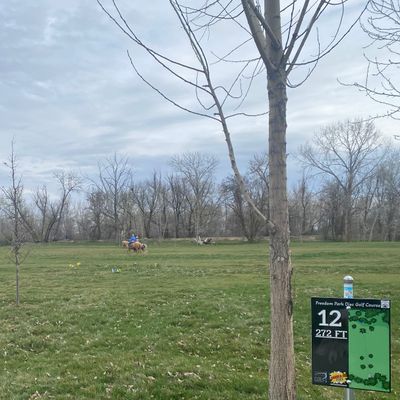 I haven’t previously waited for horses on a DG course!