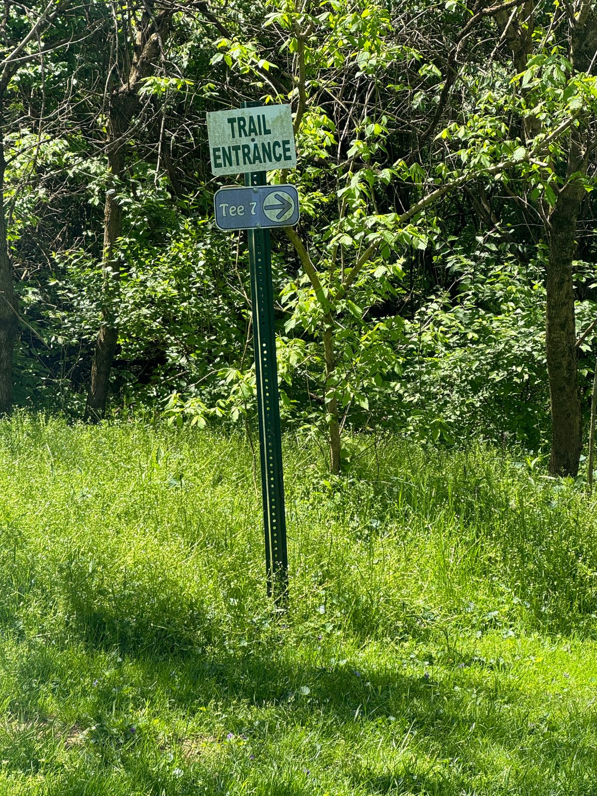 1 3 next tee signs