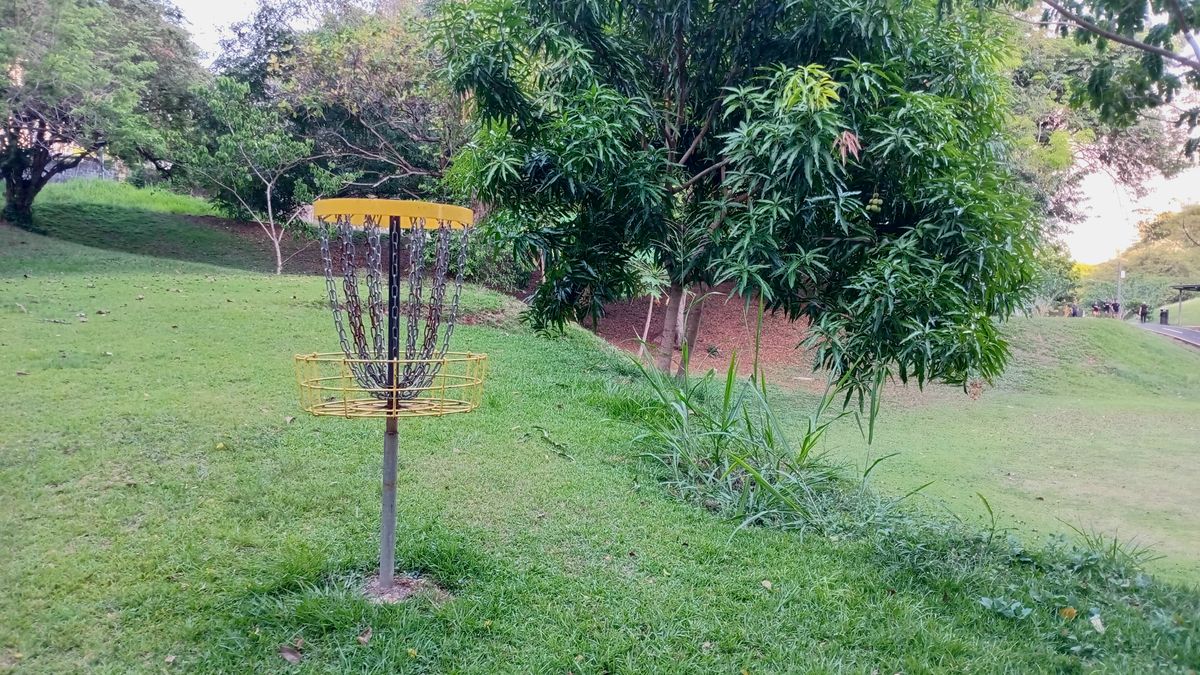 Parque Omar DG Course
Hole 13 Target