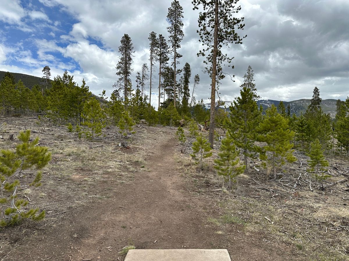 Hole 11 Tee
