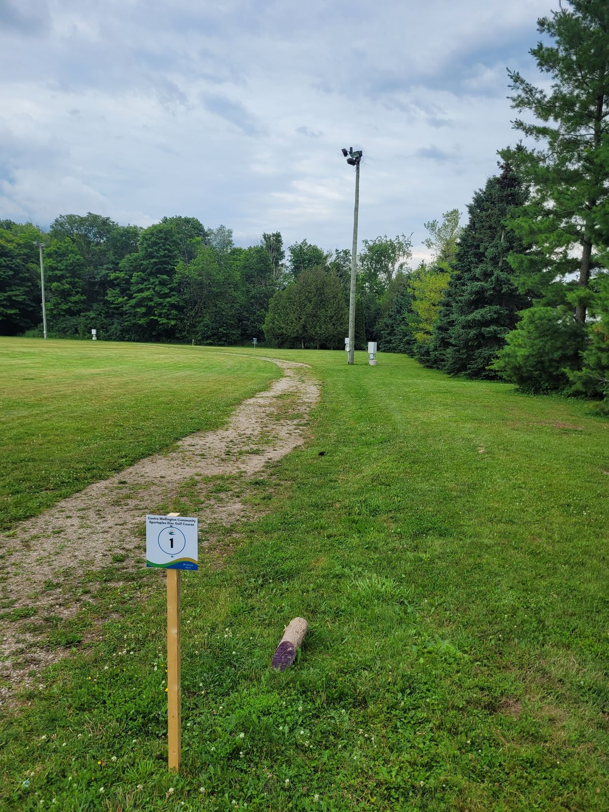 Tee area #1