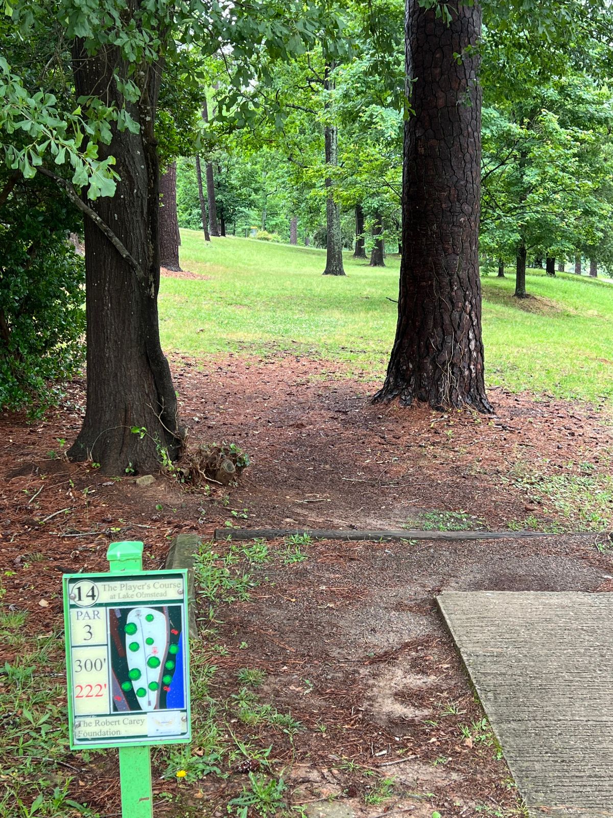 Hole has short red and long yellow basket. 