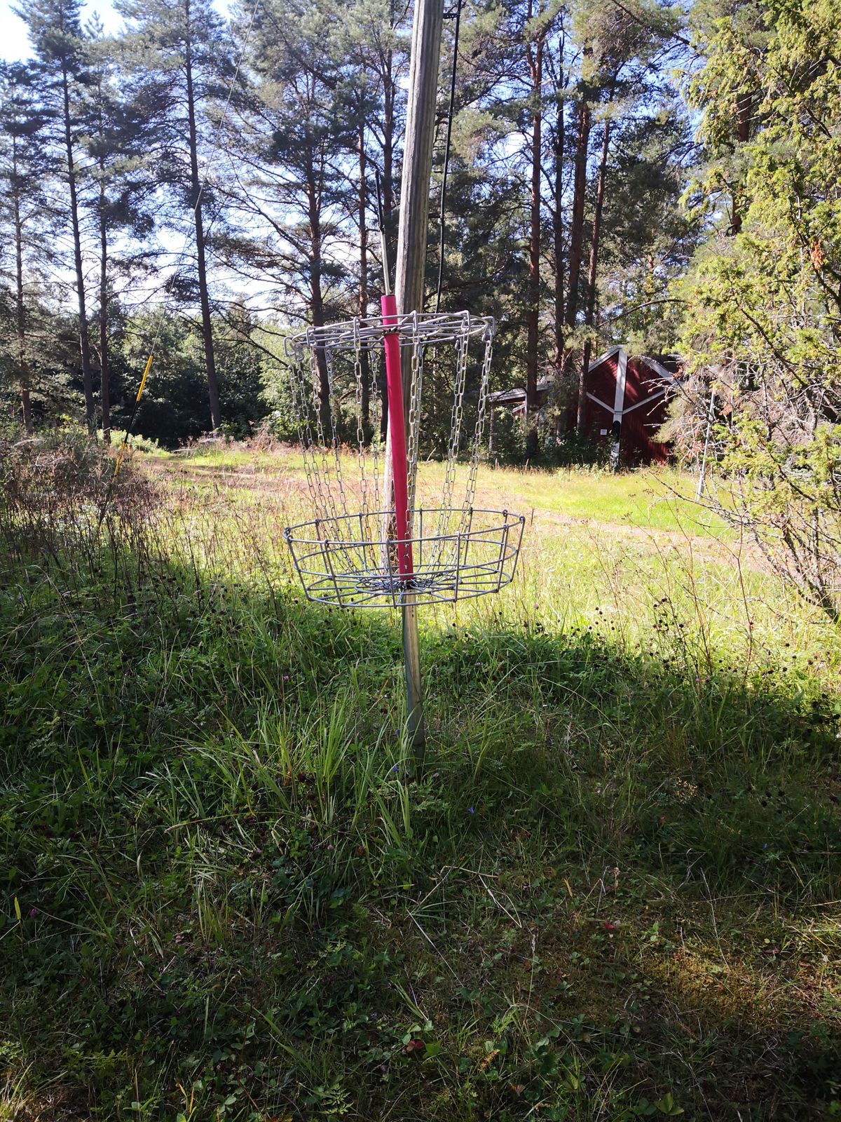Joku kori keskellä leirintäaluetta