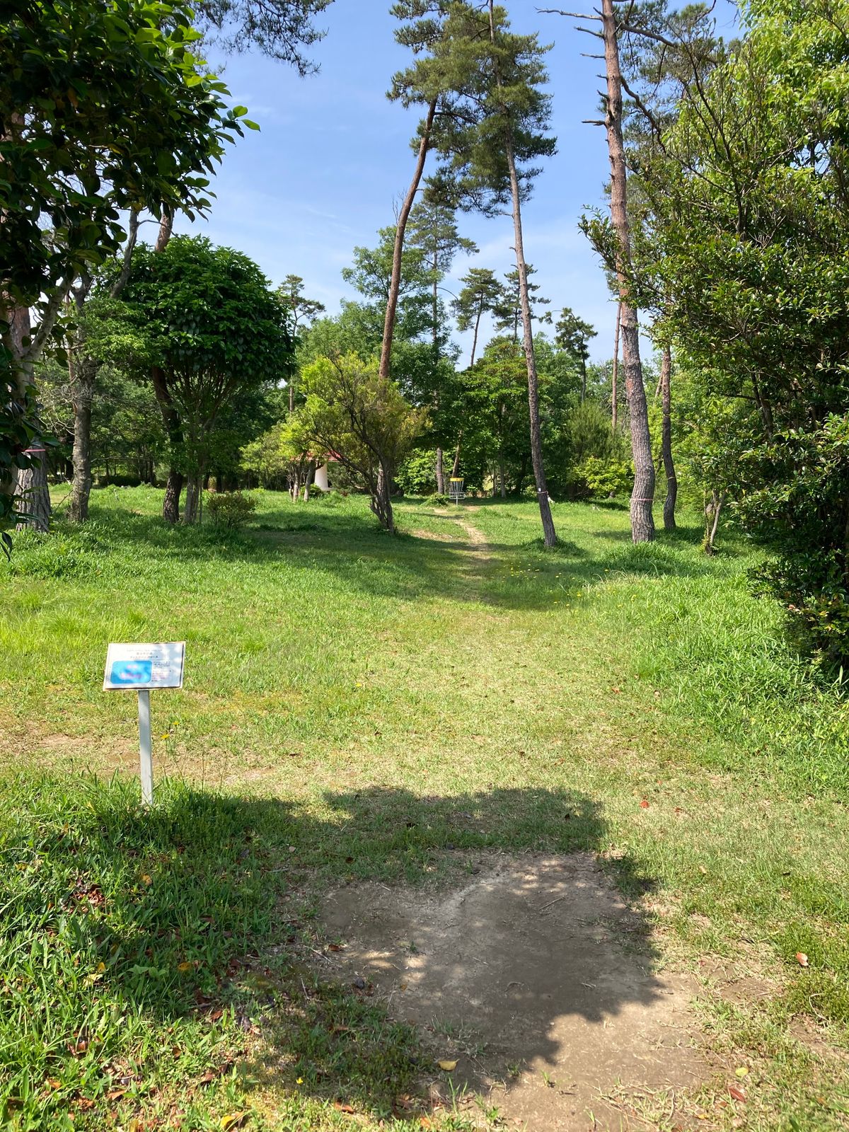 Hole 8 tee for 9 hole course. Local Bunto-san said the two trees dead ahead are a double mando!