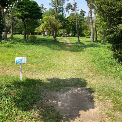 Hole 8 tee for 9 hole course. Local Bunto-san said the two trees dead ahead are a double mando!