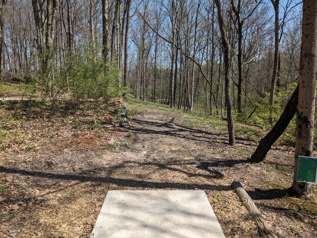 #4 from Tee Pad