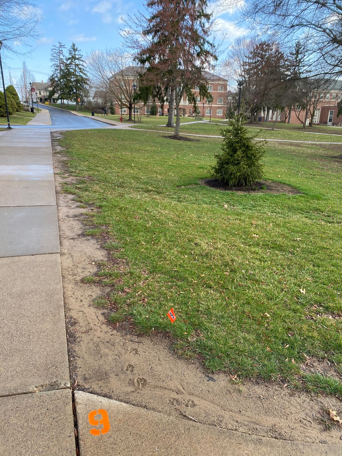 Hole 9, faces north. Sidewalks are OB.