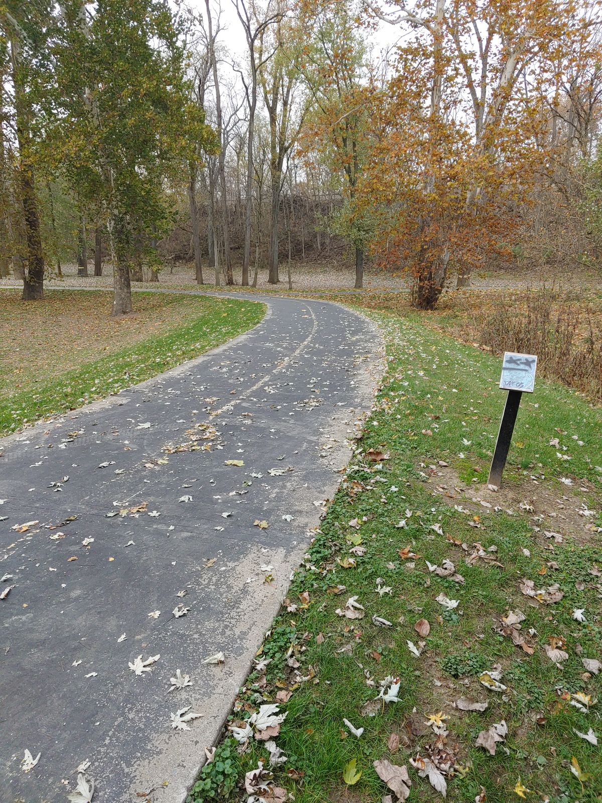 #6 tees from a walking path, it's the only hole without its own tee pad.
