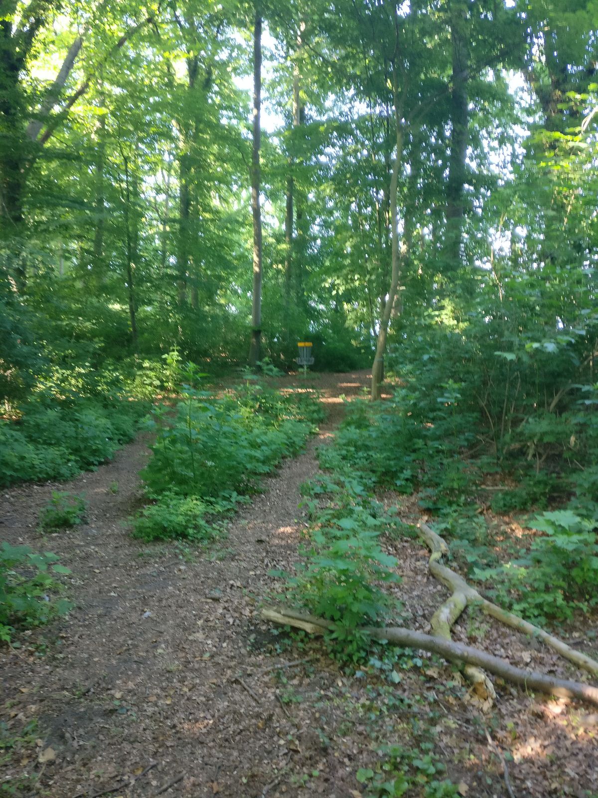 Hole 6