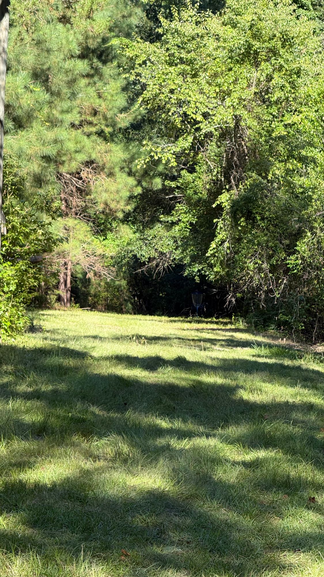 Hole 4