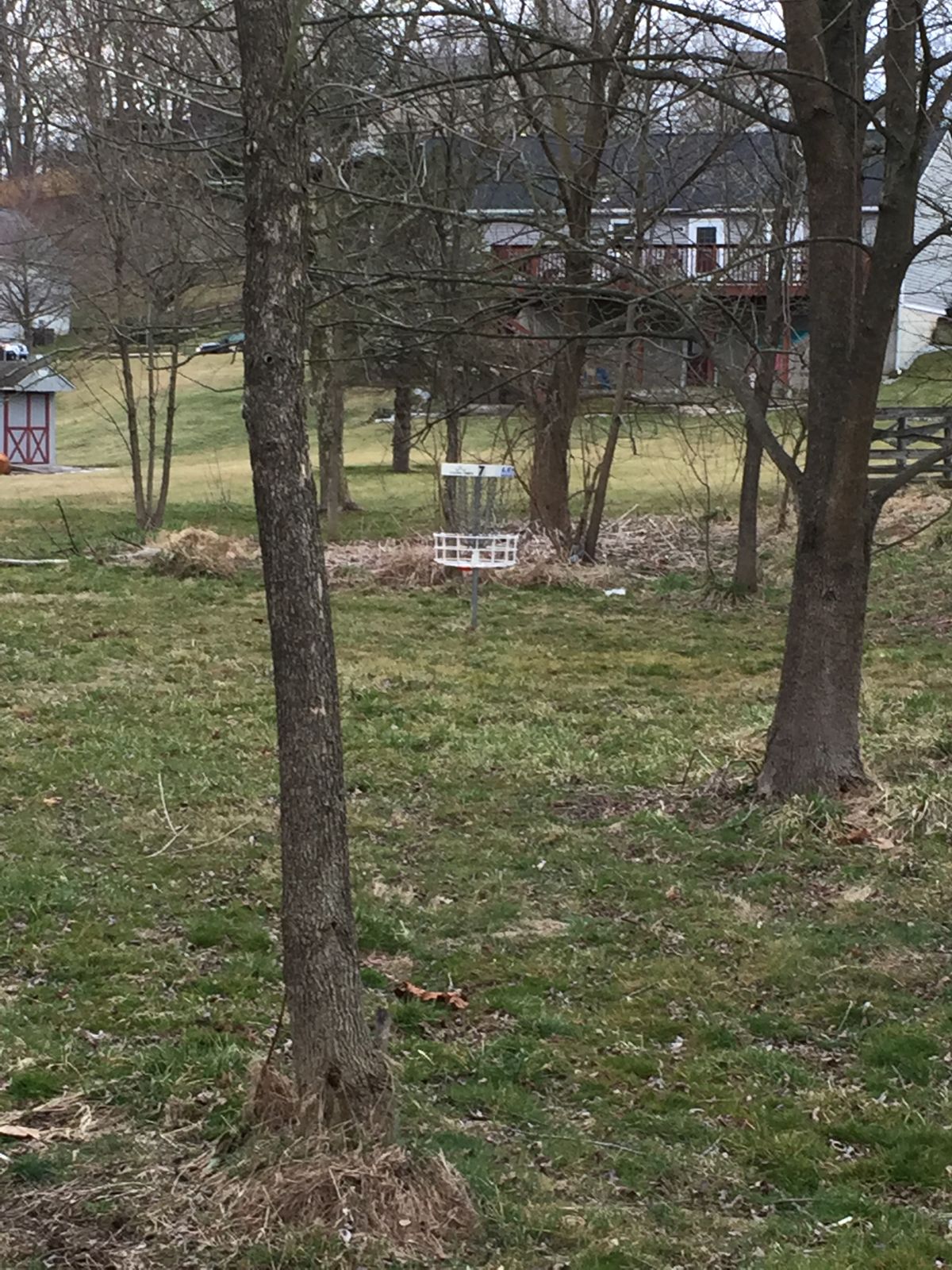 Hole 7 - through trees