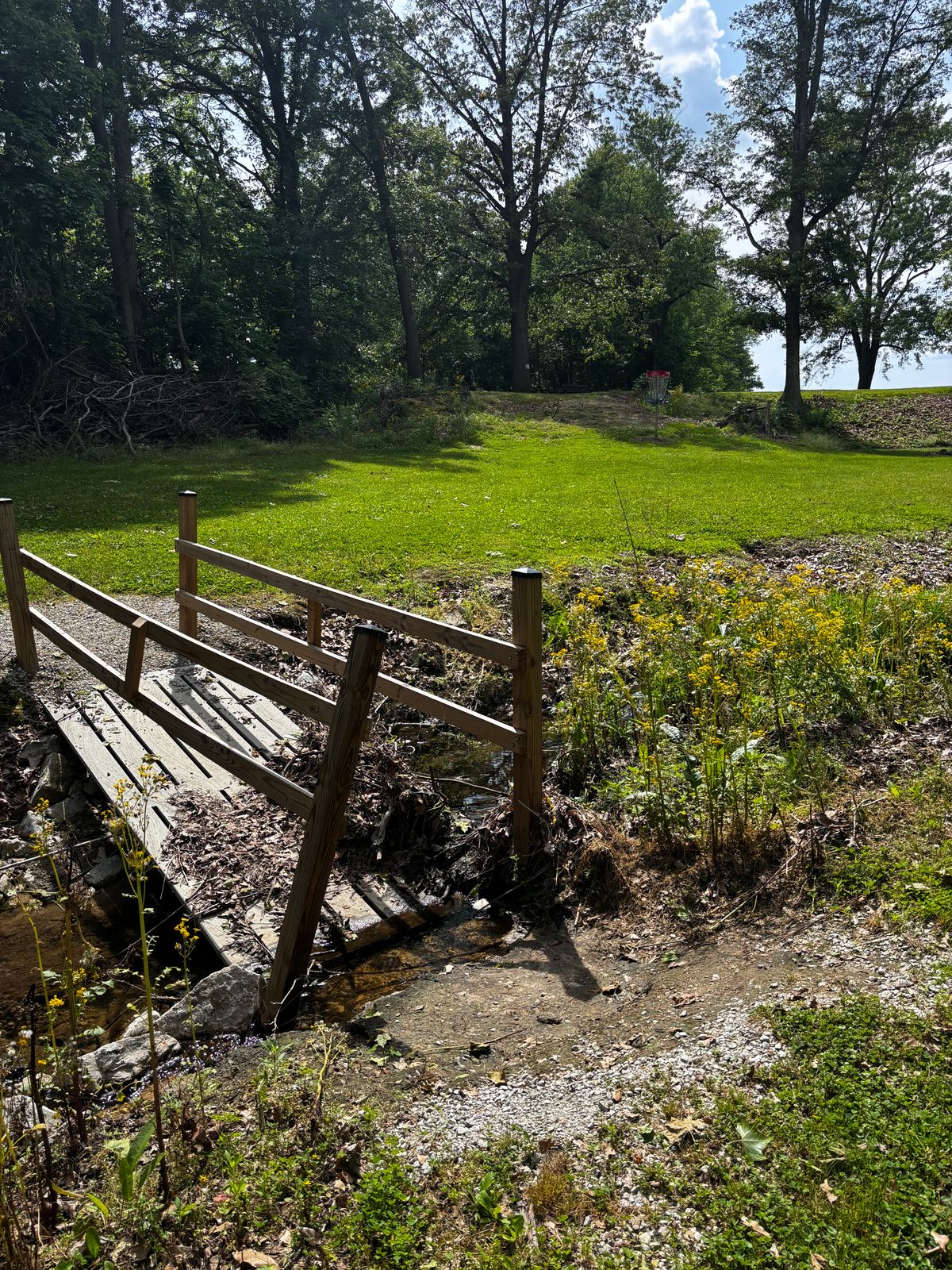 Bridge to the basket on 7