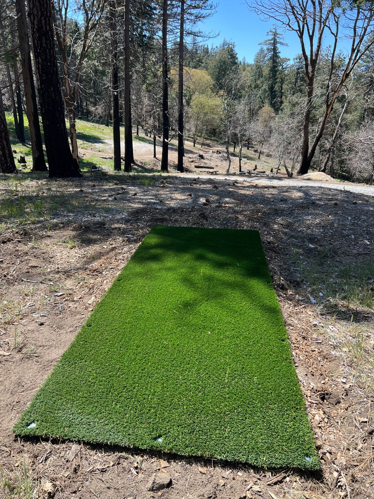 Hole 3 tee