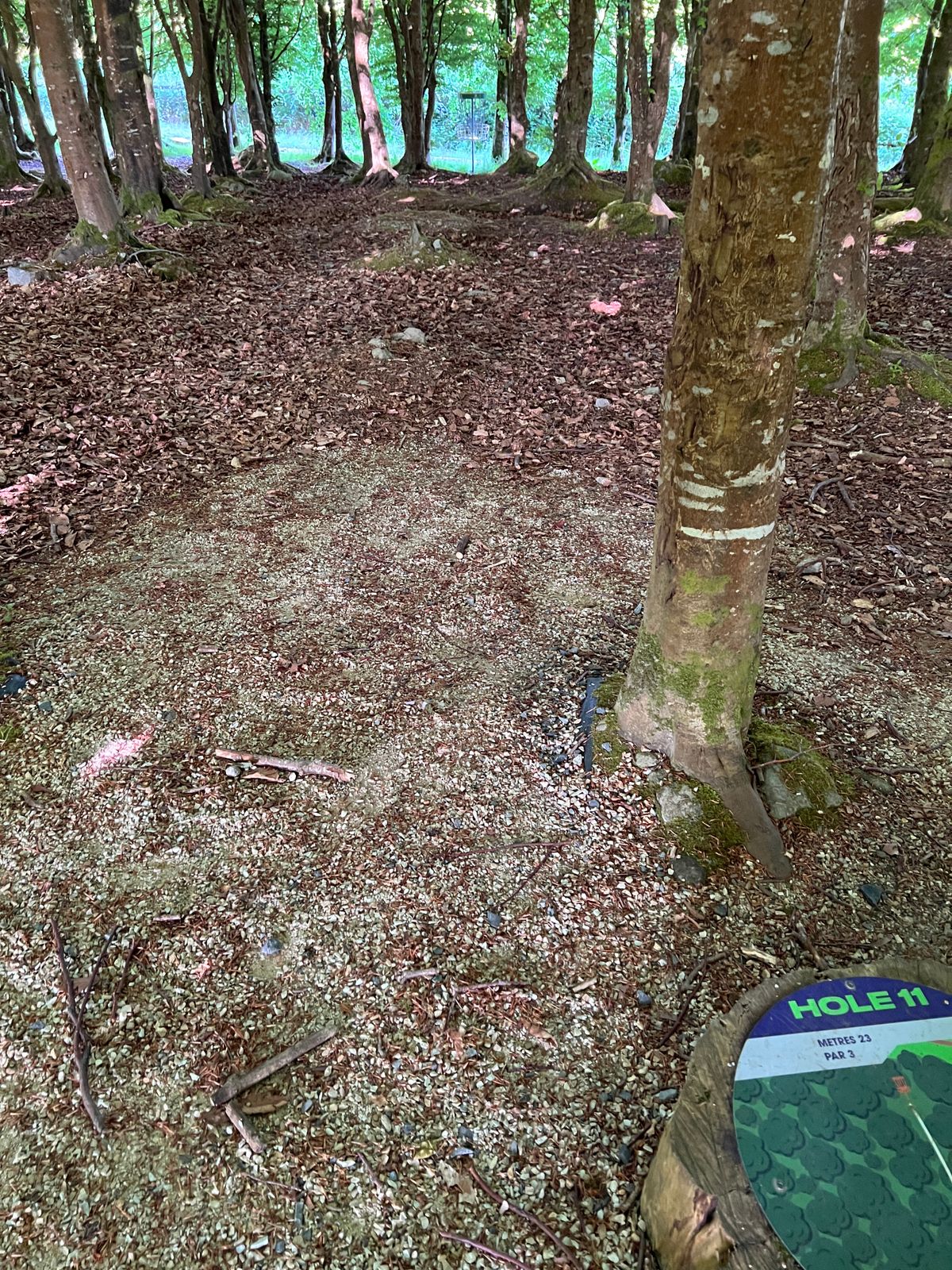 Slight downhill 23 meters.  Ace run!