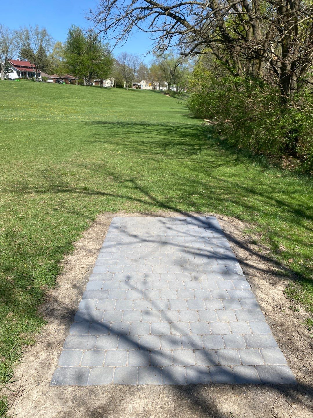 Hole 8 short