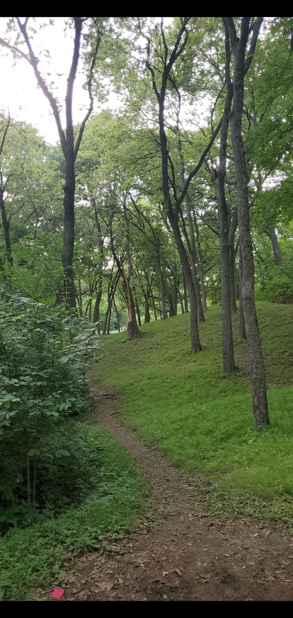 Hole 13