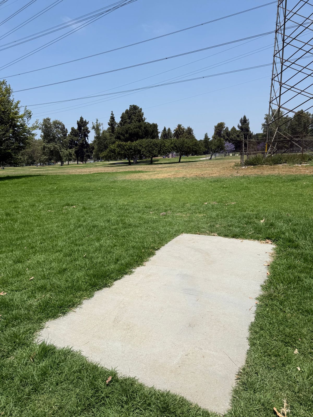 Hole 17 Tee