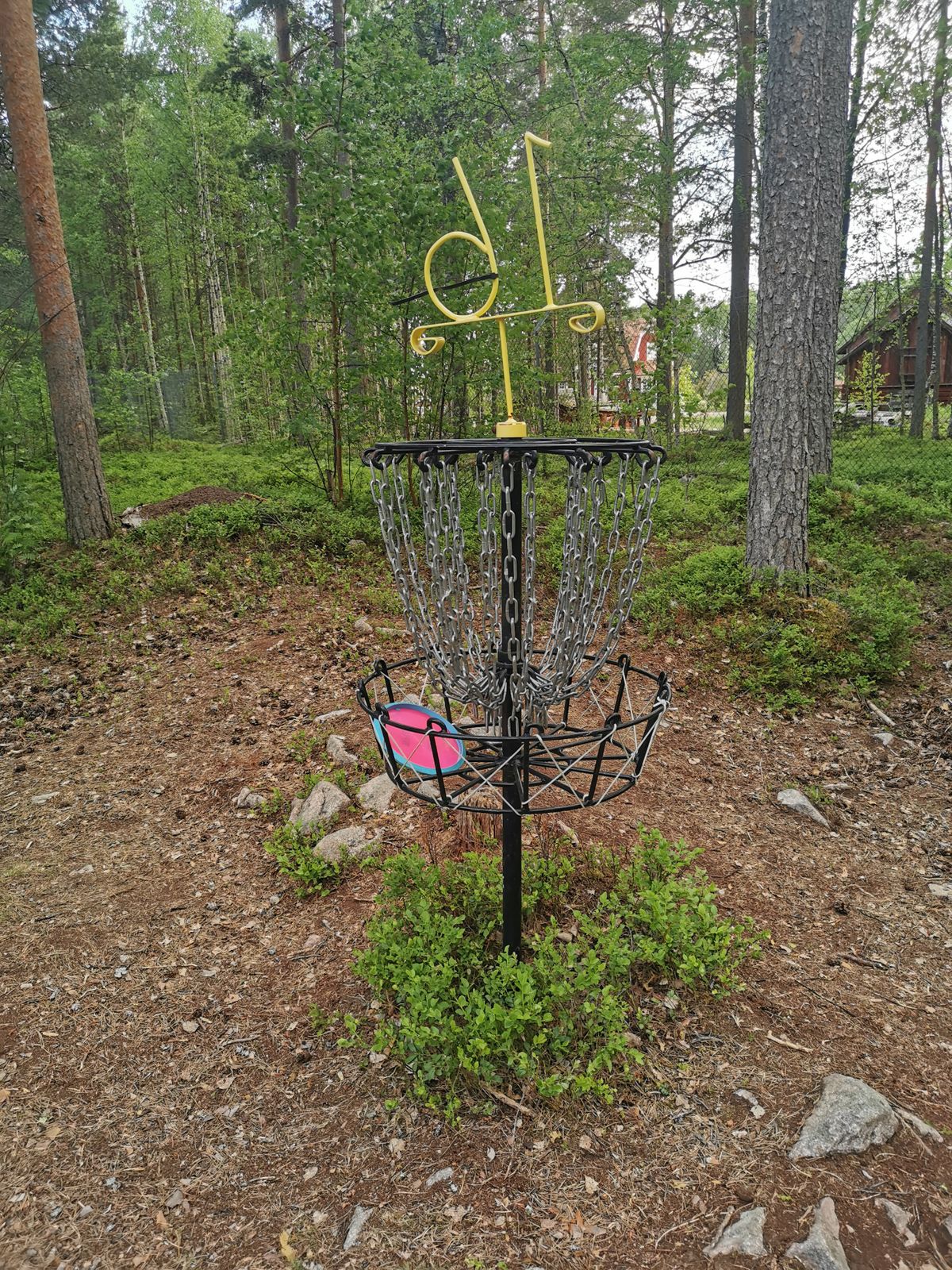 Homemade baskets with heavier longer chains, shorter target with evil knobs, prone to spitouts