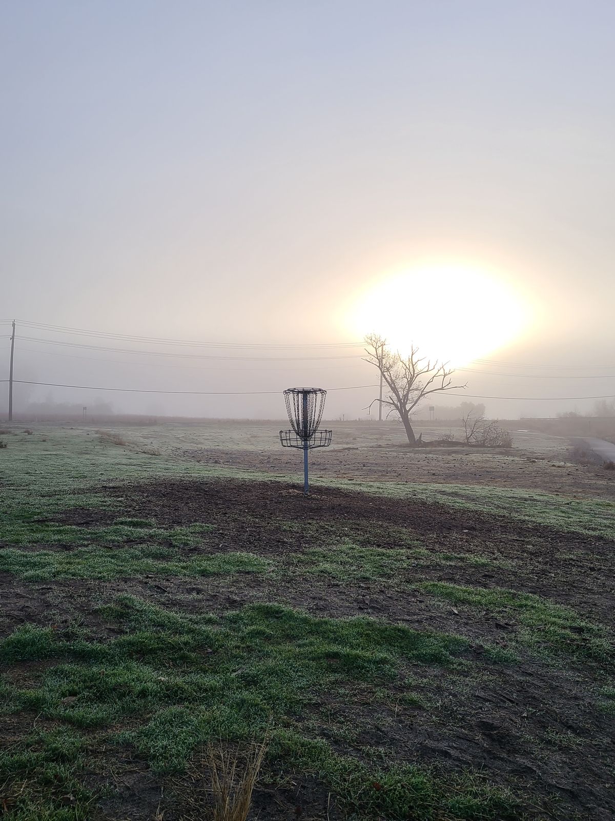 Early morning looking back at basket #5