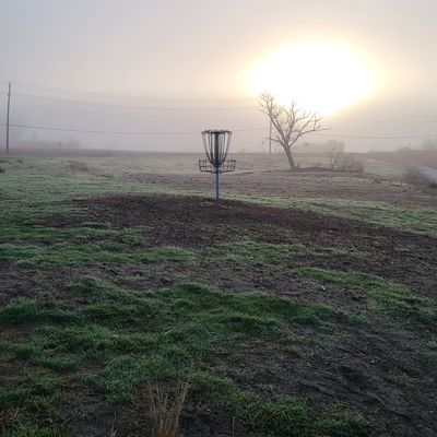 Early morning looking back at basket #5