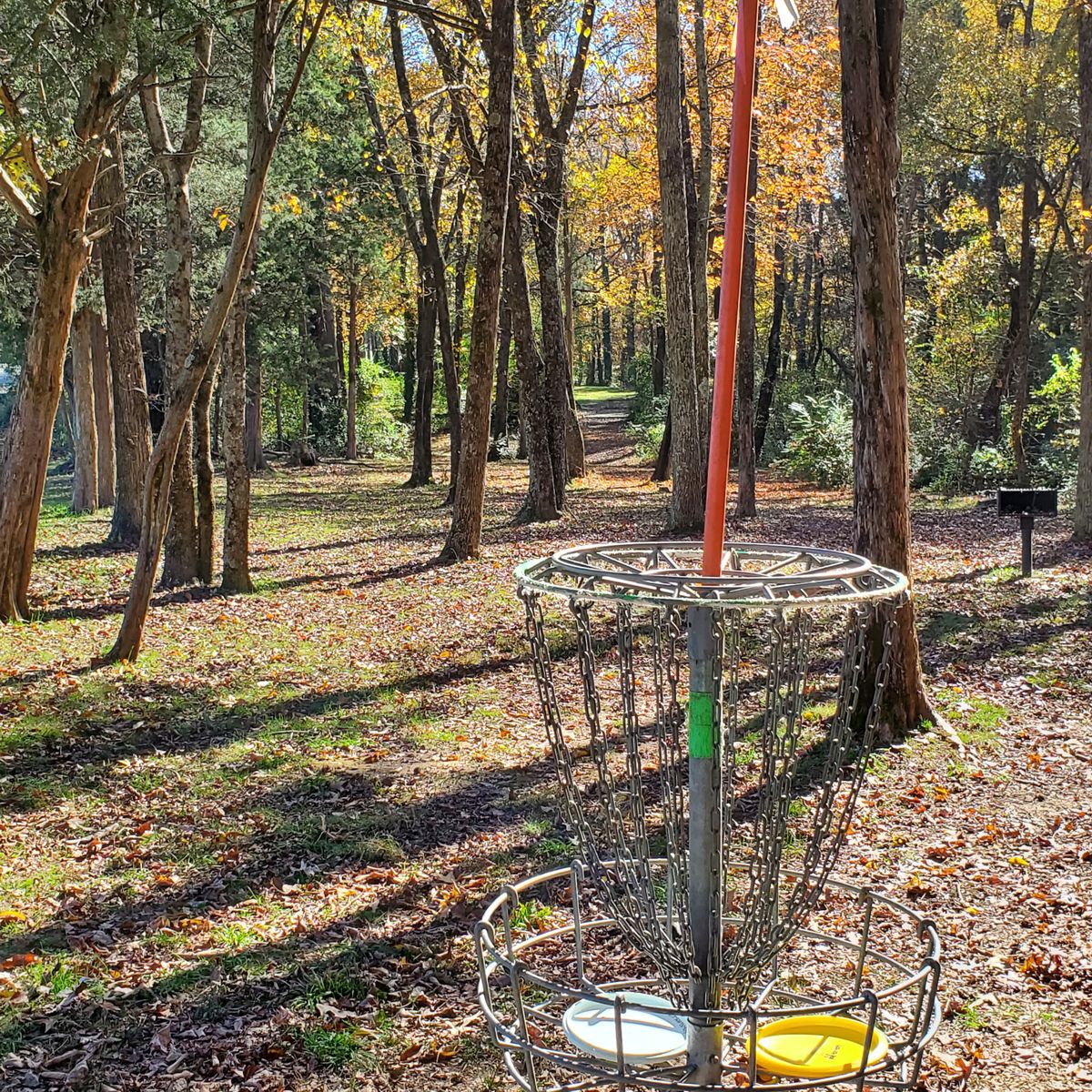 Looking back to 5th tee. Nov 9, 2020.
