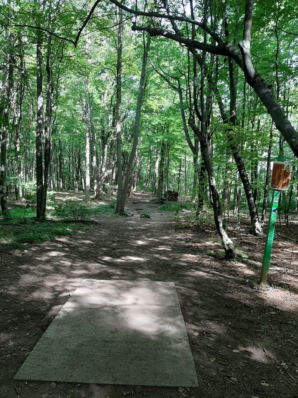 Hole 4