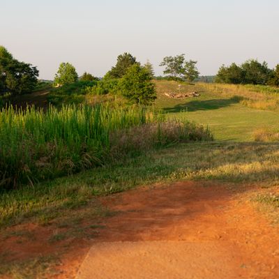 Hole 16 Short