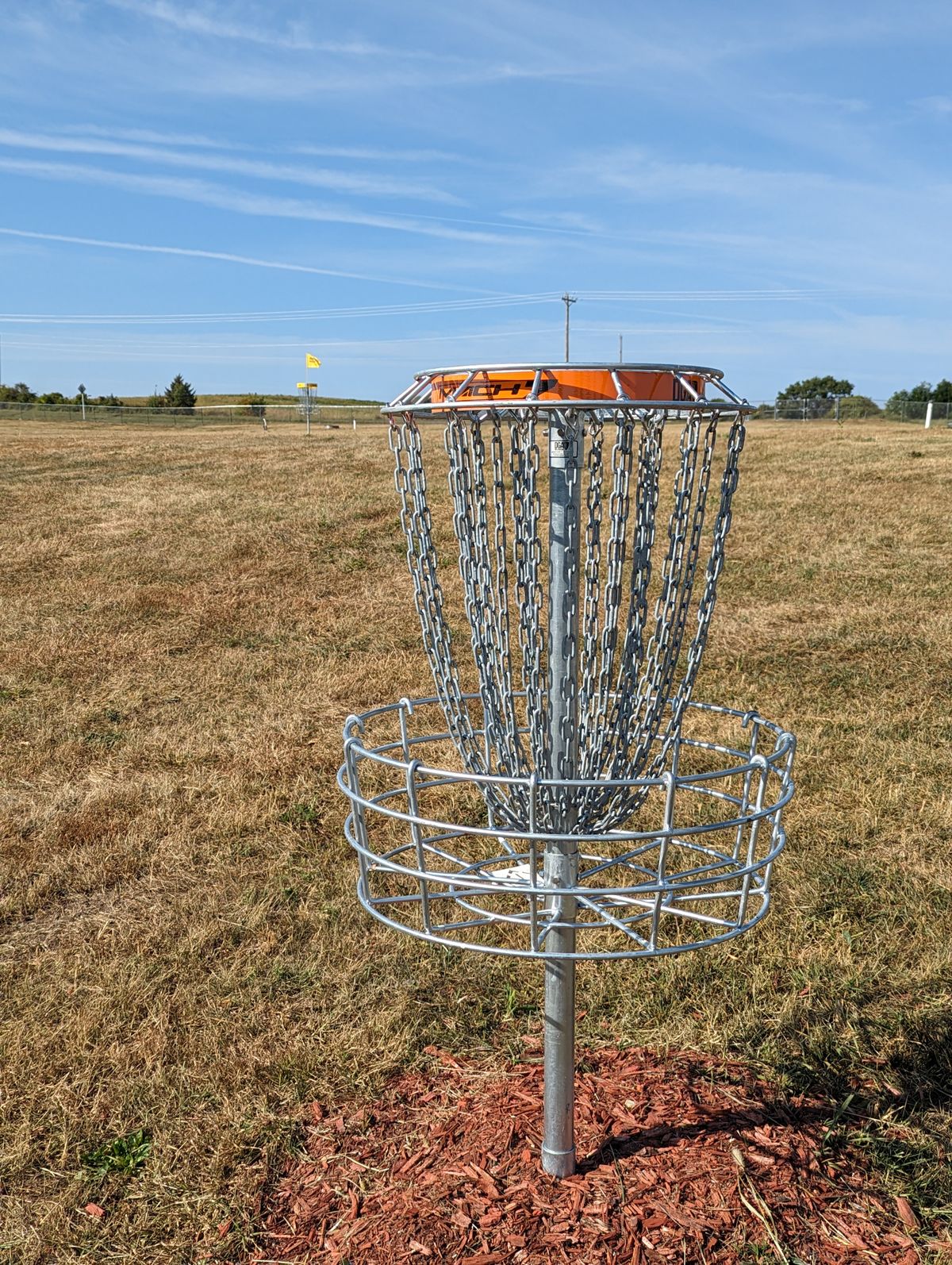 Short Basket