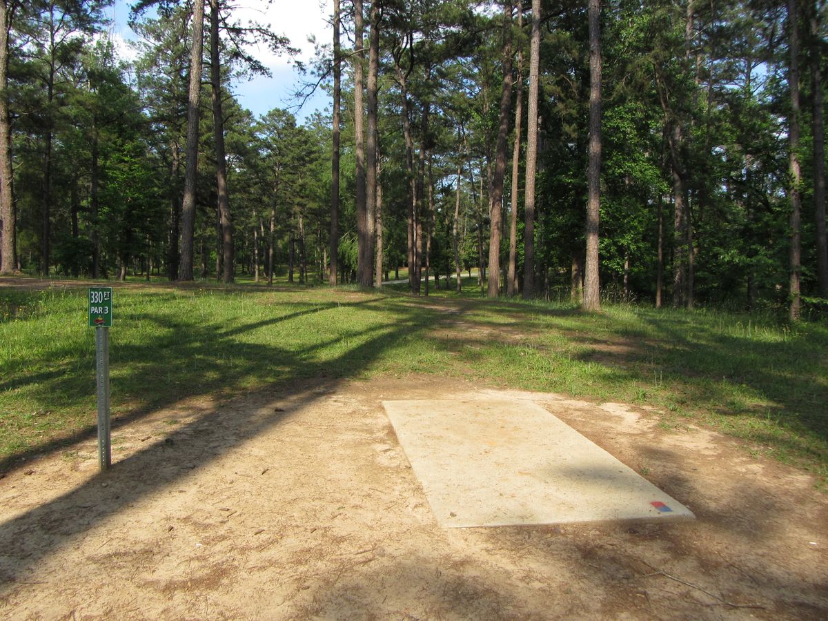 Hole 15