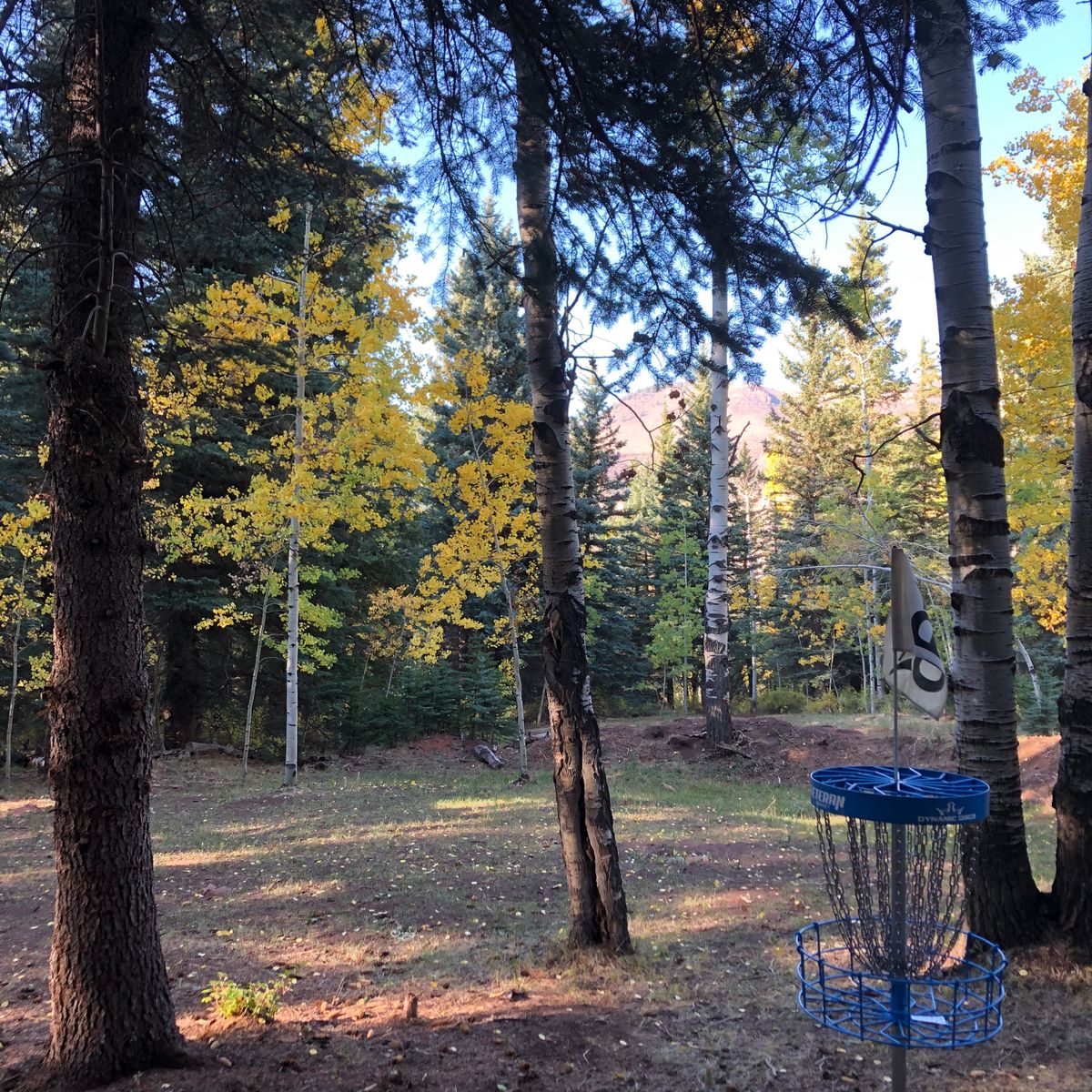 Hole 11 green