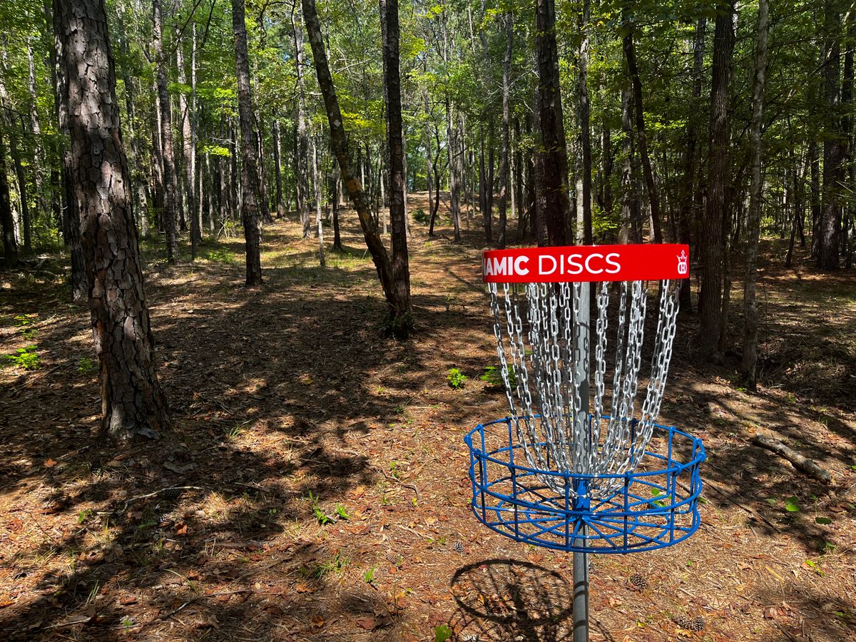 Hole 10 basket