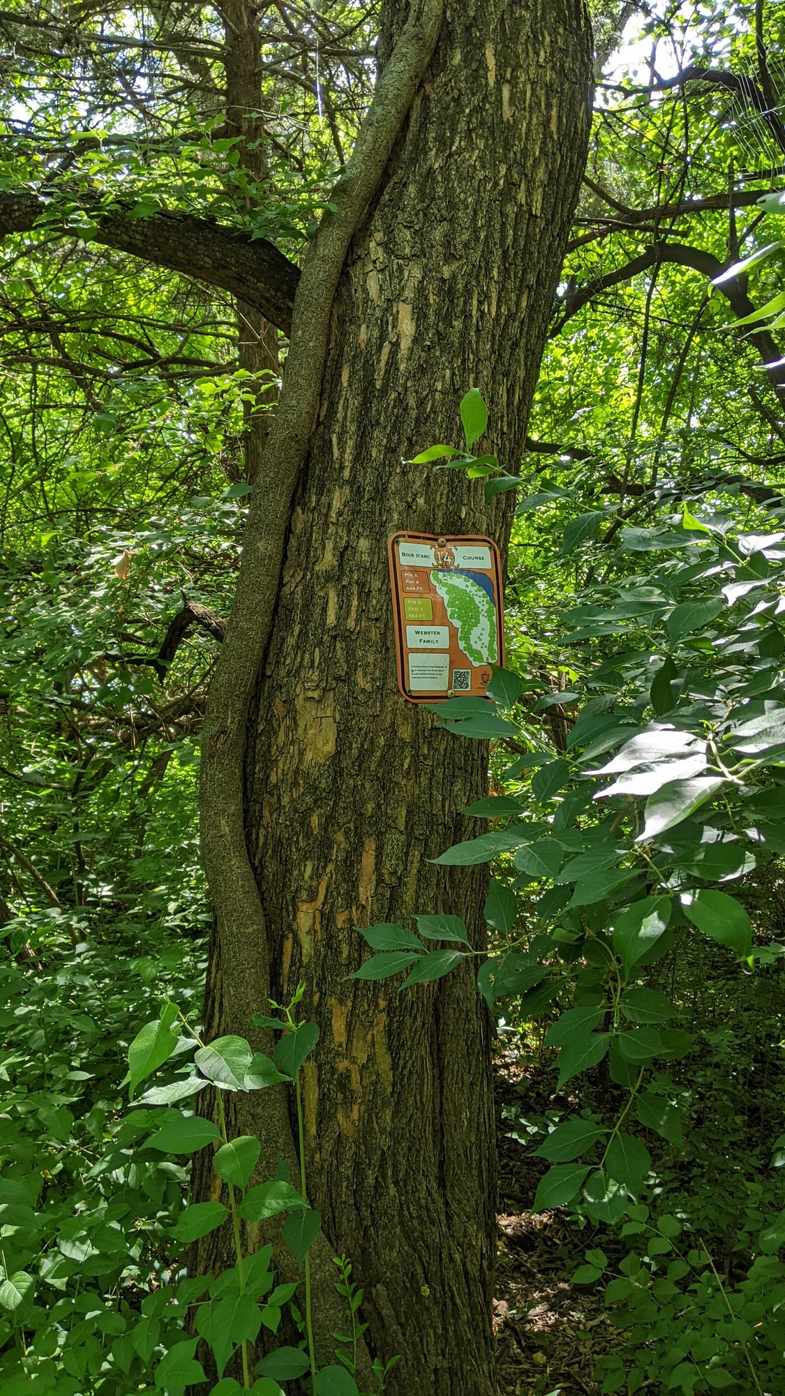 Tee Sign 14