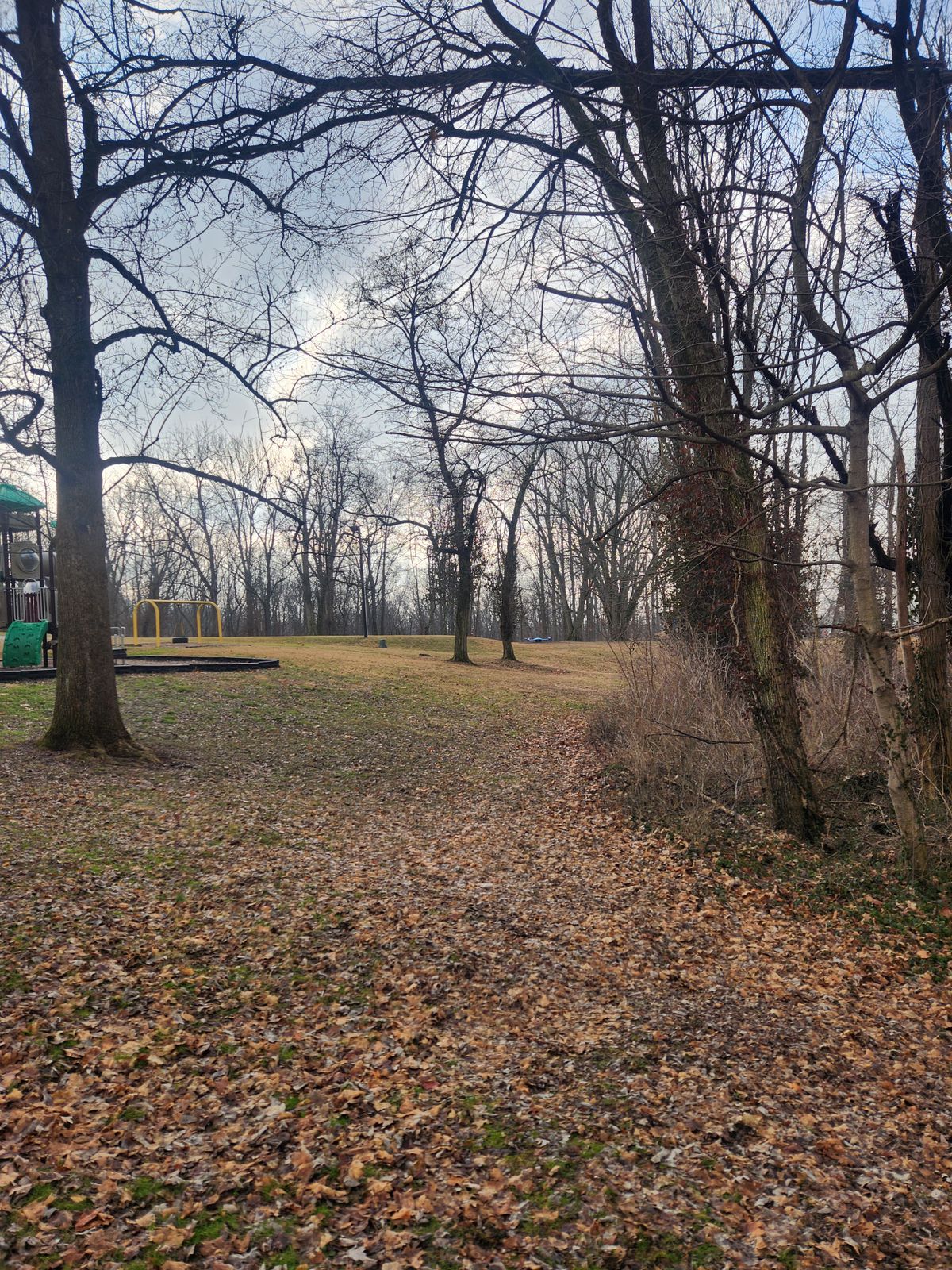 Hole 8 - mando right of two trees in center, basket on side of hill on left.
