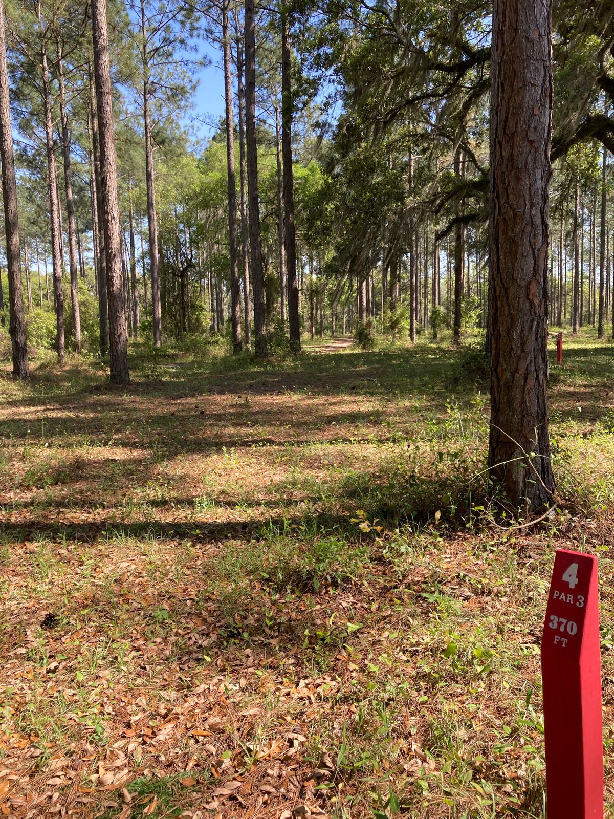 Hole 4